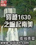 穿越1630之崛起南美同人